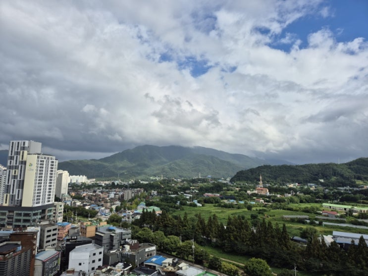  금주 일상