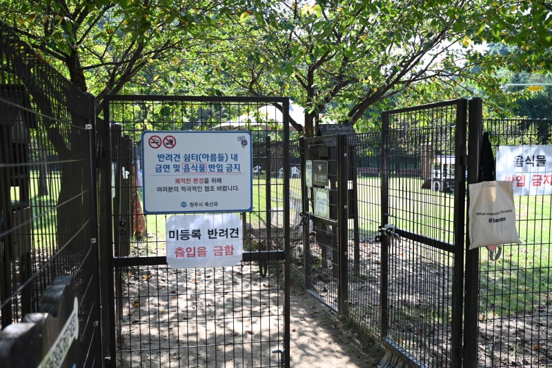 사진 4