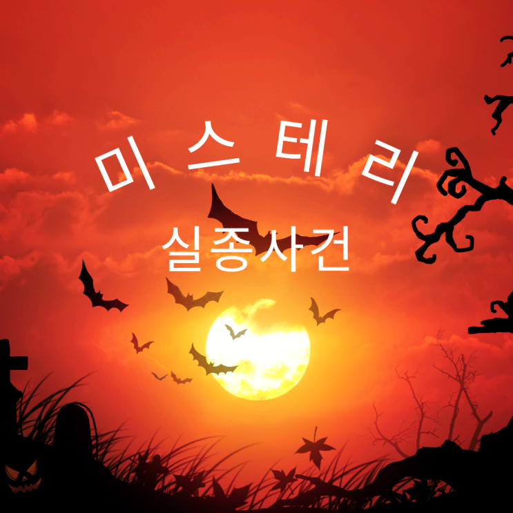  미스테리 실종사건