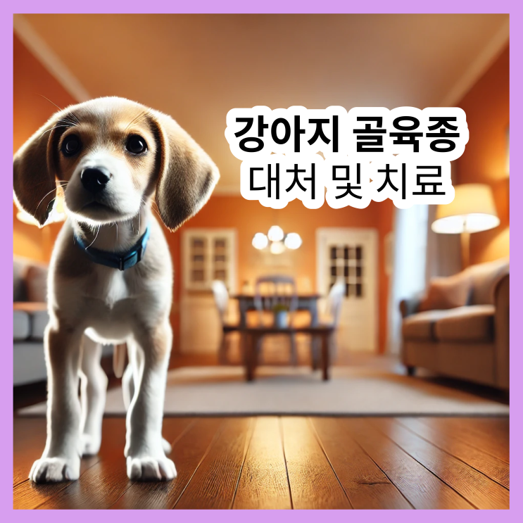  강아지 골육종, 치료 후 효과 3배 높이는 방법
