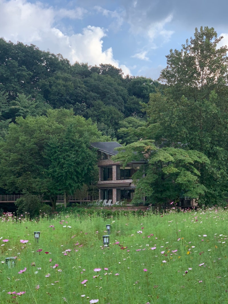 사진 7