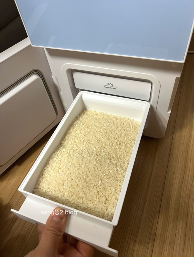 쌀냉장고 내돈내산 구매후기 | 헤르젠 쌀냉장고 2024년형 _ HERZHEN 21KG