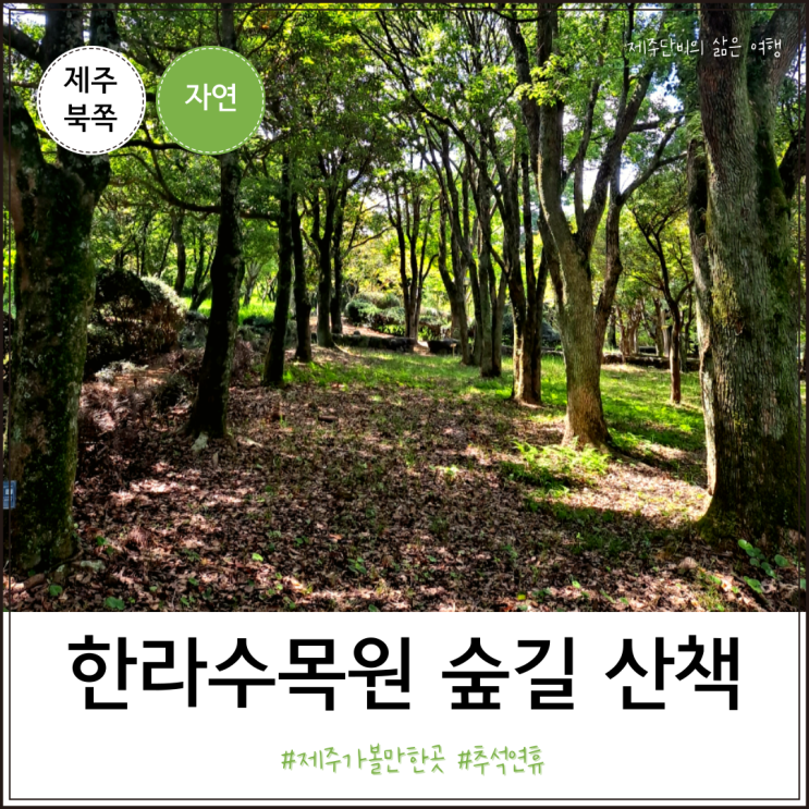 제주 가볼만한곳 <b>추석 연휴</b> 한라수목원 주차비 숲길 산책