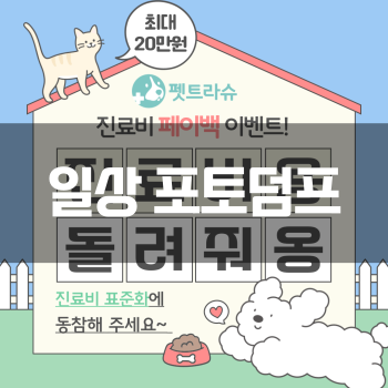  [일상 포토덤프] 펫트라슈, 진료비 페이백 이벤트!