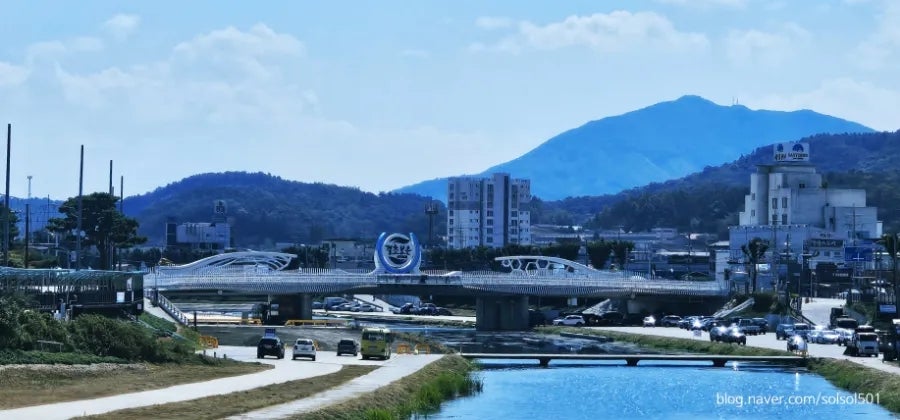 순곱궁 순대곱창전골 송절점 사진 1