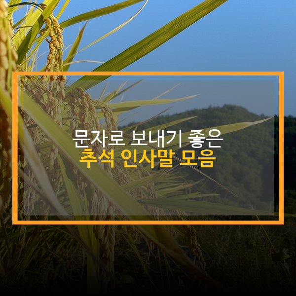  문자로 보내기 좋은 추석 인사말 모음