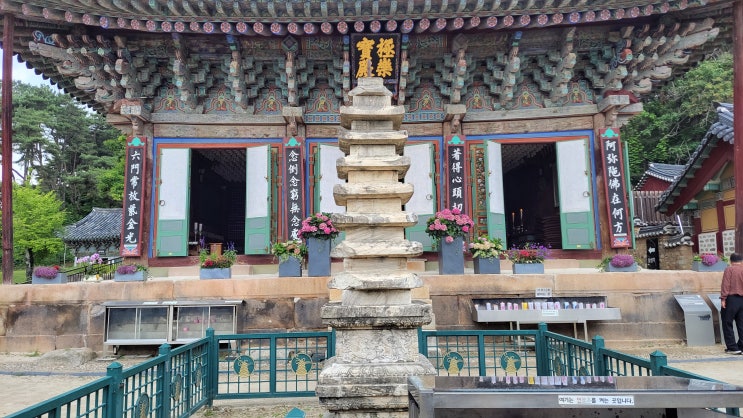  [문화유산] (보물) 여주 신륵사 다층 석탑