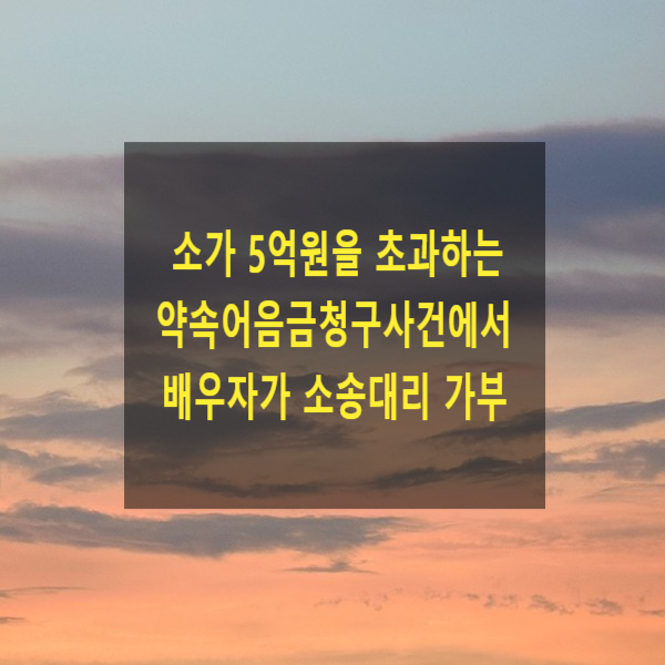  소가 5억원을 초과하는 약속어음금청구사건에서 배우자가 소송대리 할 수 있는지(합의부사건의 기준, 변호사 대리의 예외)