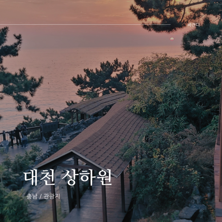  대천 상하원 가을에 가볼만한곳