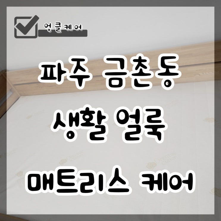  파주 매트리스 청소 생활 얼룩 제거