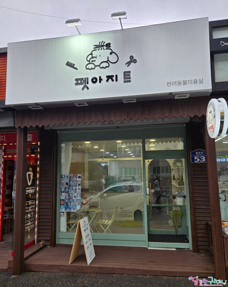 사진 5