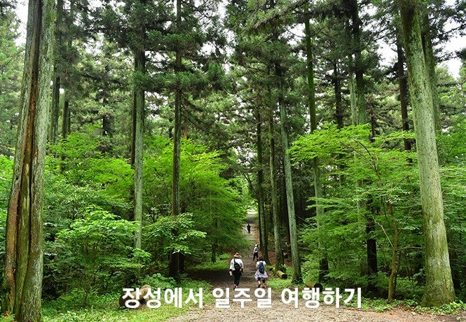  전남 장성_2024 장성에서 일주일 여행하기 참여자 모집공고  _여행지원금