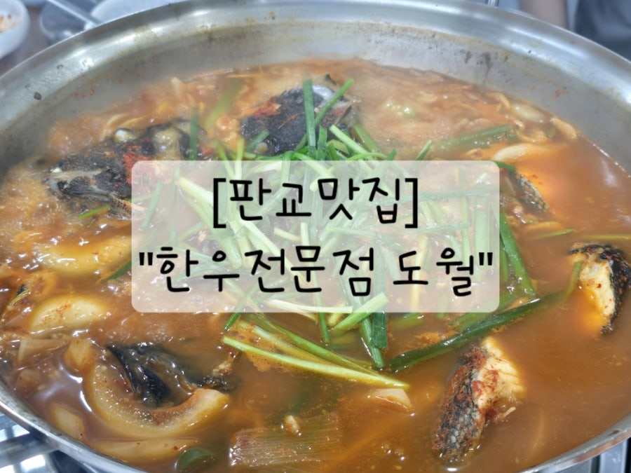 도월 사진 1