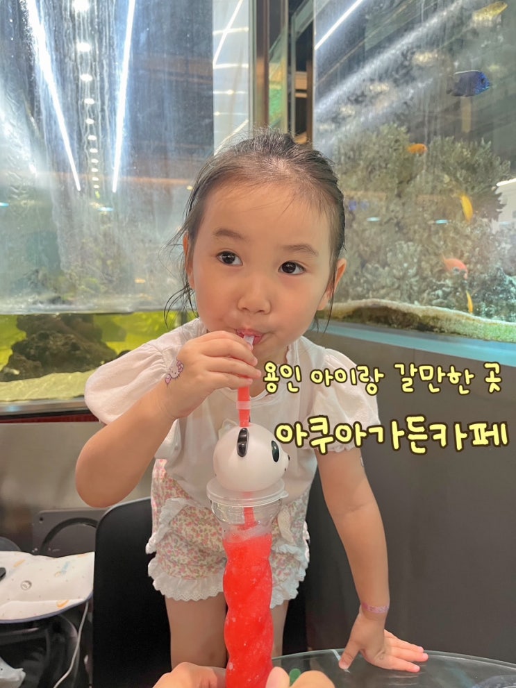  용인 아이랑 갈만한 곳 아쿠아가든카페