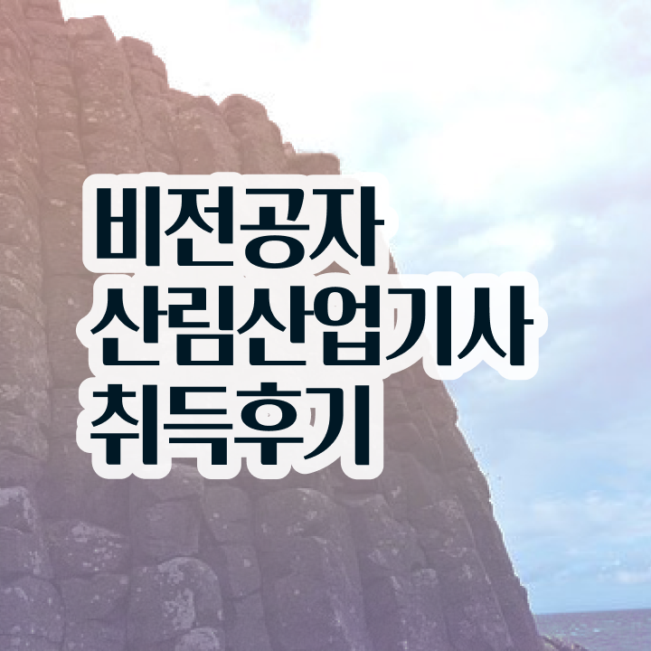  산림산업기사과목 산림산업기사 응시조건 온라인 과정으로 간단하게 준비한 전략