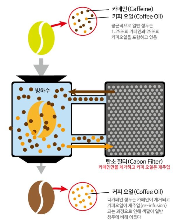 아몰렌떼 사진 2