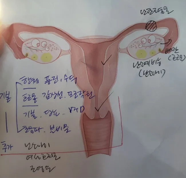  상급종합병원에서 임신 전 검사 받았어요-산전검사 리스트