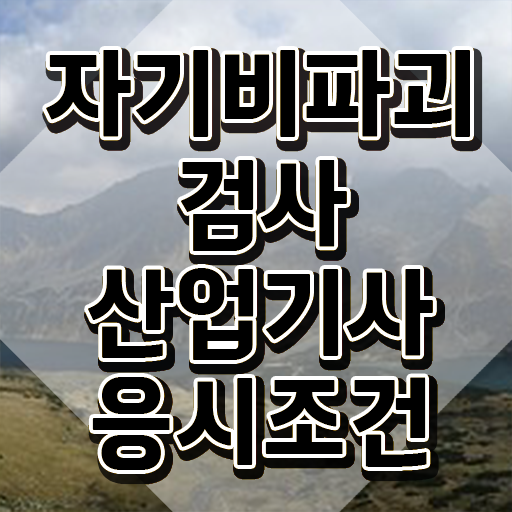  자기비파괴검사산업기사 취득자격 온라인으로 쉽고 빠르게 성공한 비법