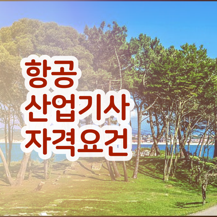  항공산업기사조건 항공산업기사 취득자격 집에서 온라인으로 편하게 성공한 과정