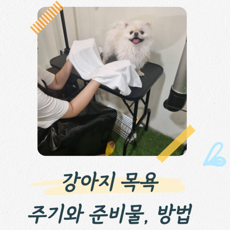  강아지 목욕 주기와 준비물, 씻기는 방법 총정리