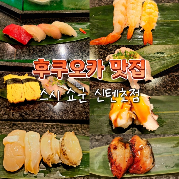 후쿠오카 여행 텐진역 가성비 점심 맛집 스시 쇼군 후쿠오카 여행 텐진역 가성비 점심 맛집 스시 쇼군