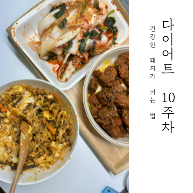  다이어트 식단이 뭔가요? 건강한 돼지가 되는 법 알려드립니다 : 10주차