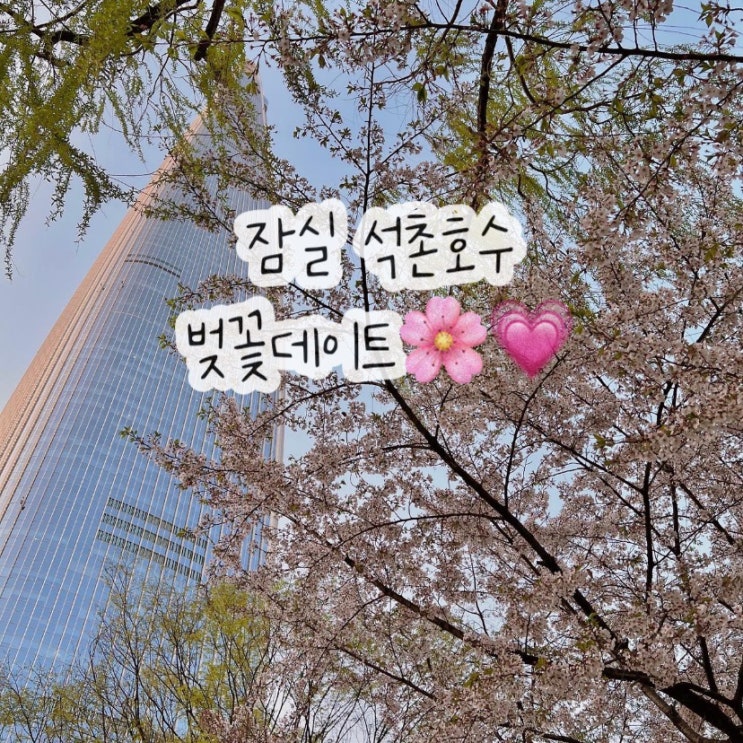  잠실 석촌호수 벚꽃 데이트 중식맛집 차알