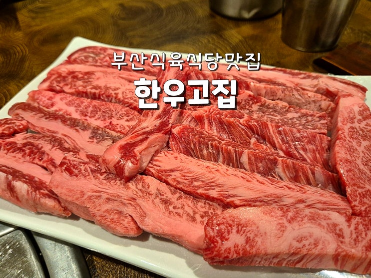  부산식육식당 부산소고기맛집 가야공원맛집 한우고집