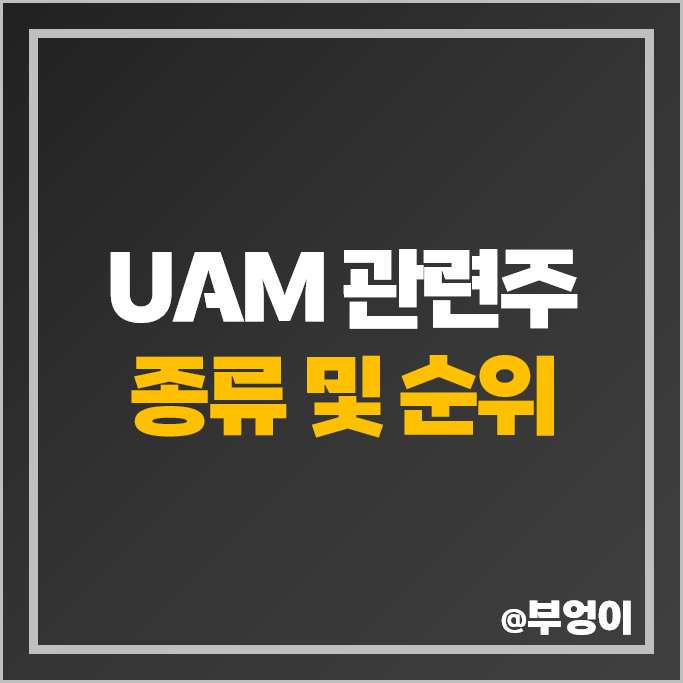 UAM 관련주 GS 현대자동차 한국항공우주 대한항공 주가 한화시스템 주식 UAM 관련주 GS 현대자동차 한국항공우주 대한항공 주가 한화시스템 주식