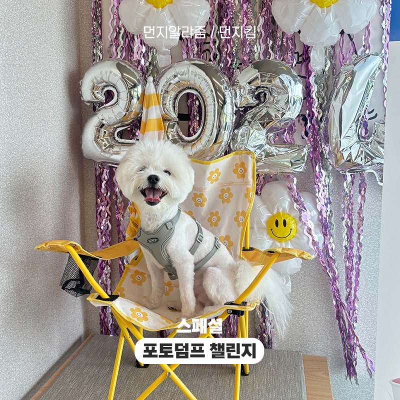 봄이야놀자