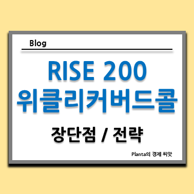  커버드콜 ETF : RISE 200위클리커버드콜 장단점 전략 알아보기