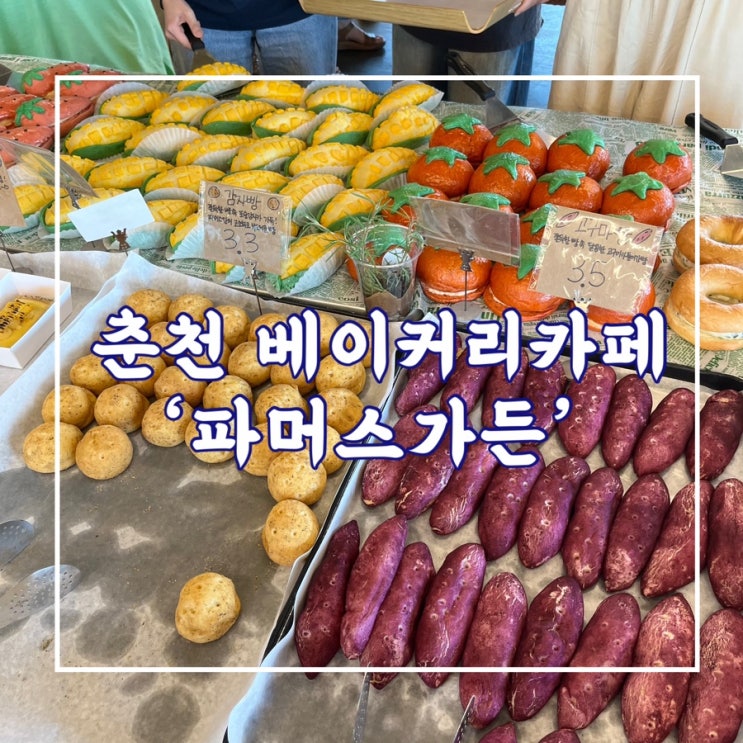  춘천 베이커리 카페 ‘파머스가든’ 농작물모양 베이커리, 맛 솔직후기
