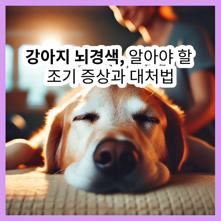 강아지 뇌경색, 알아야 할 조기 증상과 대처법