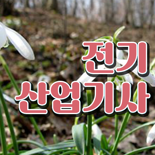 2024 전기산업기사 전기산업기사 시험응시자격 인강만 듣고 단기간에 성공한 비법