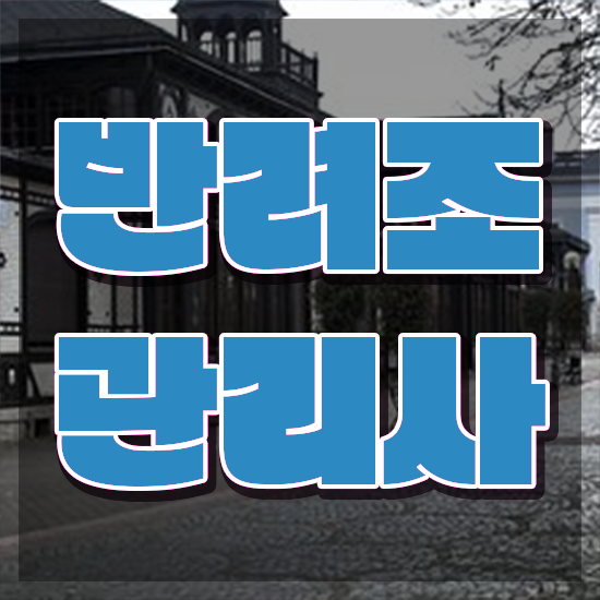  파인애플코뉴어앵무새 , 반려조관리사 자격증 20일 만에 합격한 후기 및 무료수강 혜택