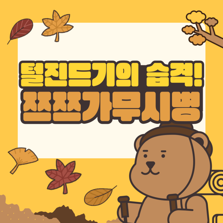  털진드기의 습격! 가을 산행 시 꼭 알아야 할 쯔쯔가무시병 최신 뉴스와 예방 팁