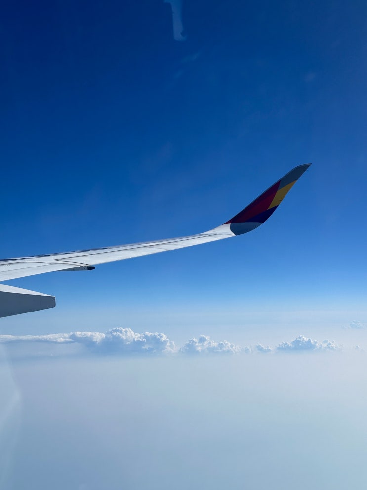  스페인 바르셀로나 아시아나 OZ511, OZ512 기내식, 이코노미 직항 후기