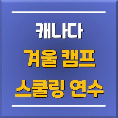  2024-2025 겨울 캐나다 스쿨링 캠프 모집 마감 임박! 분당판교유학원 토리쌤 추천 캠프