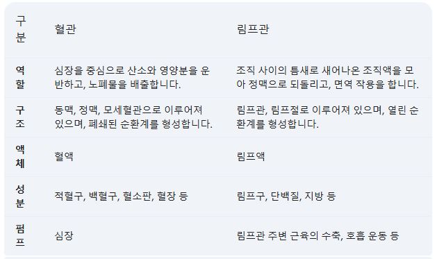  림프 관리, 이것만 알면 끝! 건강한 삶을 위한 꿀팁