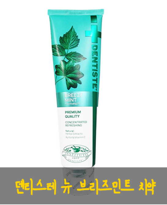  덴티스테 뉴브리즈민트 치약