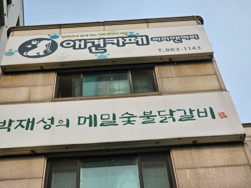 퍼피앤커피