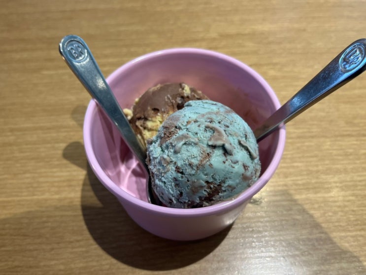  베스킨라빈스 9월 이달의 맛 우석이는 외계인, 두바이스타일 초코 통통 내돈내산 솔직후기