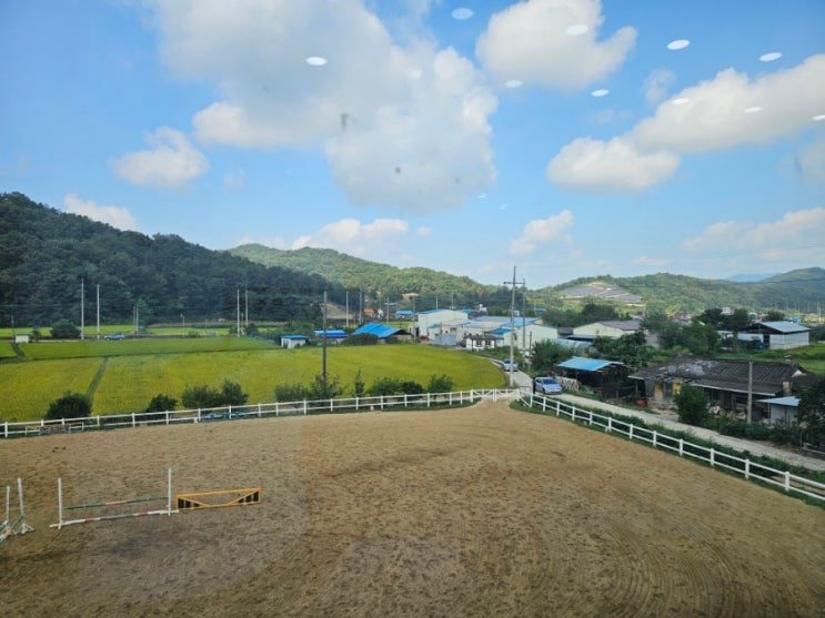  구미승마장과 함께하는 토요일