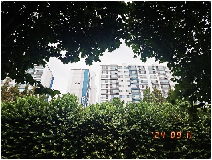  24년 9월 8일~ 14일 폰사진털이