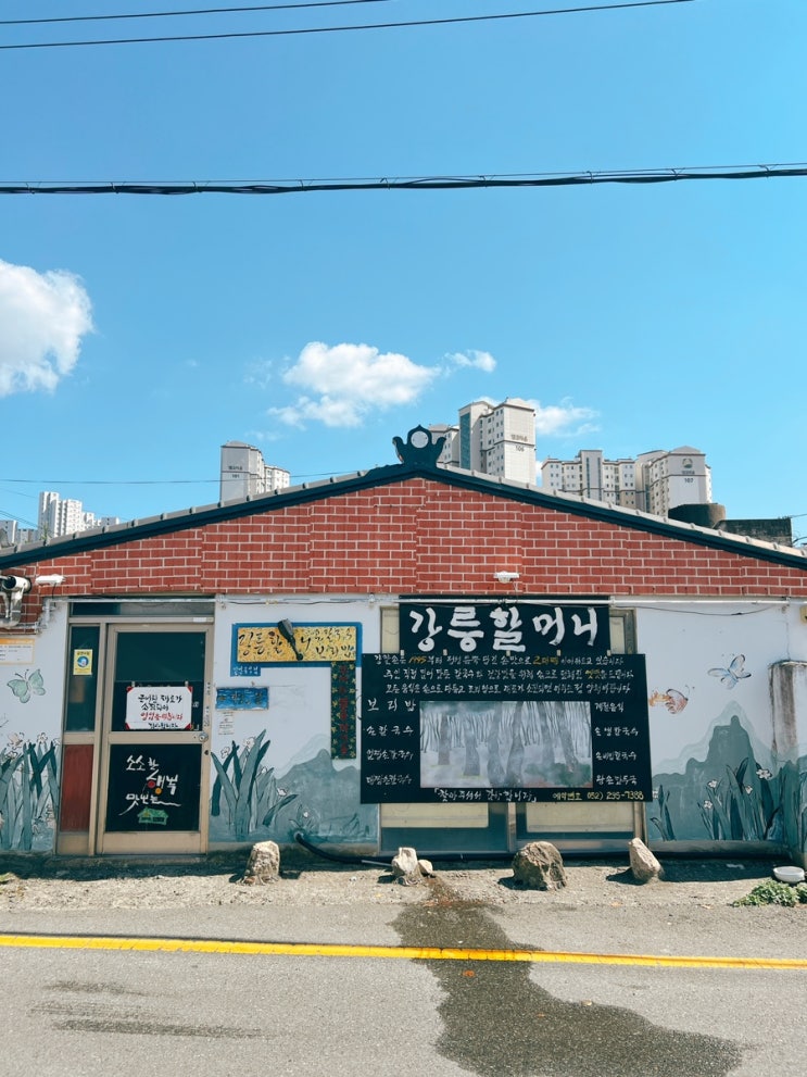 울산 보리밥 맛집 시골밥상 강릉할머니손칼국수