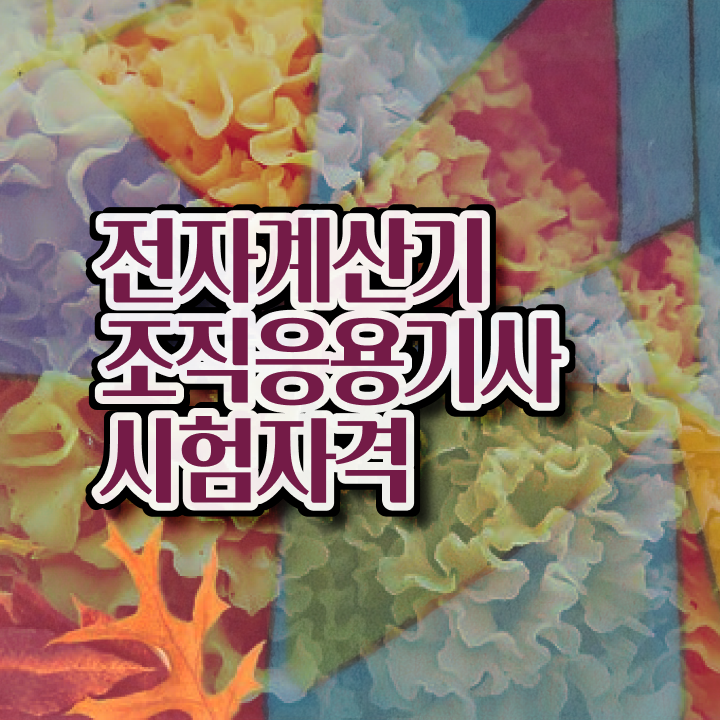  전자계산기조직응용기사 자격요건 온라인 수업으로 간단하게 성공한 팁