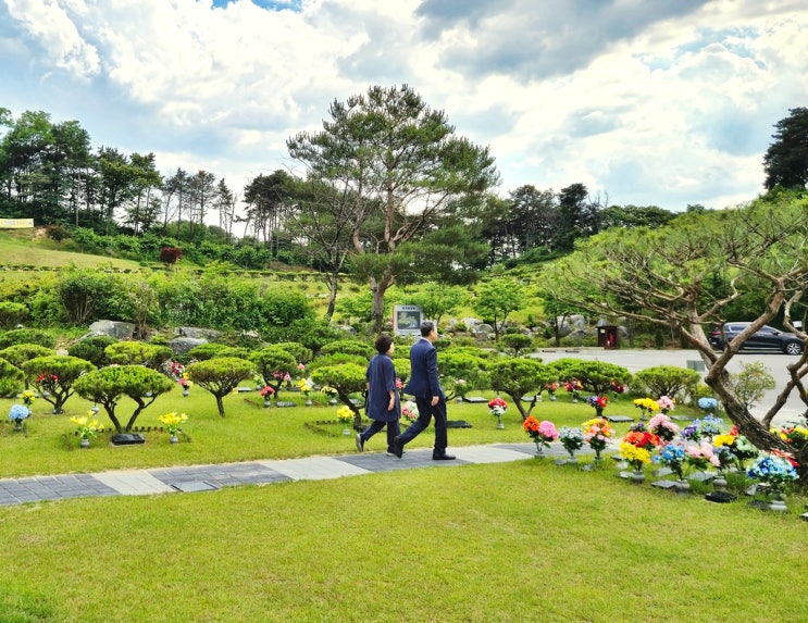  수목장 예절 기본적인 상식부터