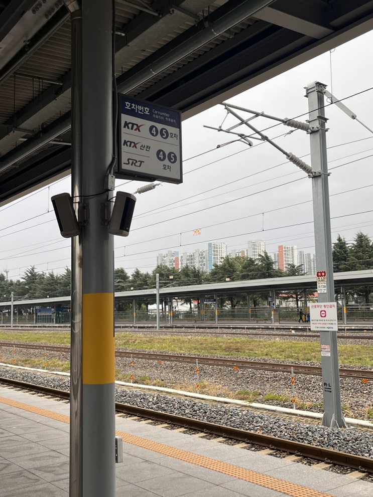  주간일상