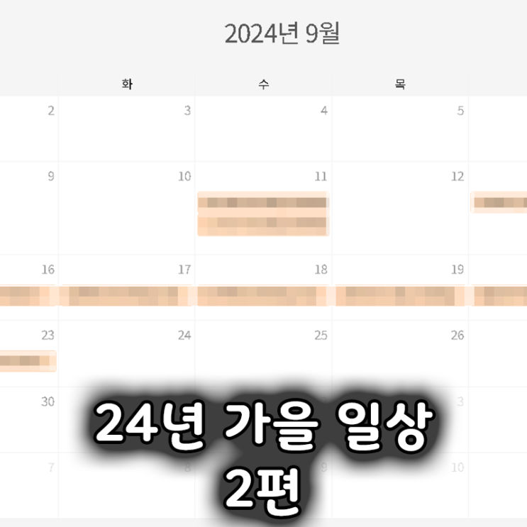  24년 가을 일상 2편 집으로, 체험단, 막걸리, 아리 등...