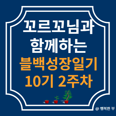  꼬르꼬님과 함께하는 블백성장일기 10기 2주차(9/9~9/14)